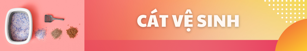 Cát Vệ Sinh