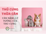 Cân nặng lý tưởng tránh béo phì cho thú cưng
