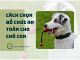 Cách chọn đồ chơi an toàn cho chó con