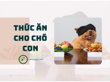 Cách làm thức ăn cho chó con NHANH - BỔ - RẺ
