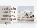 7 điều cần làm giúp thú cưng khỏe mạnh