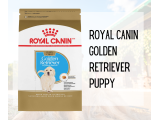 Royal Canin Golden Retriever - Nhãn hiệu thức ăn khuyên dùng của các bác sỹ thú y Hoa Kỳ