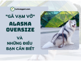 Alaska Oversize - 