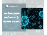 Tại sao kháng sinh không tiêu diệt được virus parvo?