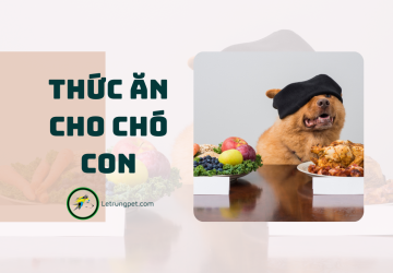Cách làm thức ăn cho chó con NHANH - BỔ - RẺ