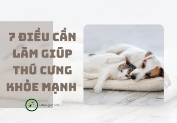 7 điều cần làm giúp thú cưng khỏe mạnh