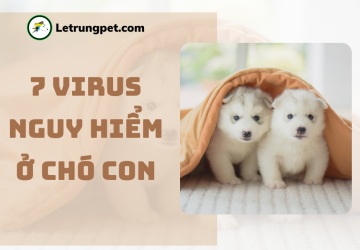 7 bệnh virus nguy hiểm ở chó con