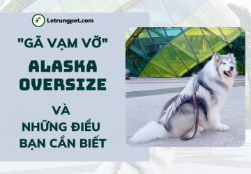 Alaska Oversize - 