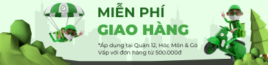 Freeship Q12 GV