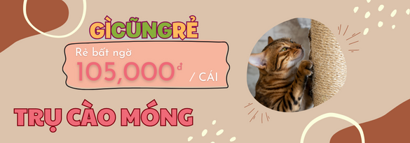 trụ cào móng