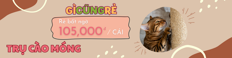 trụ cào móng