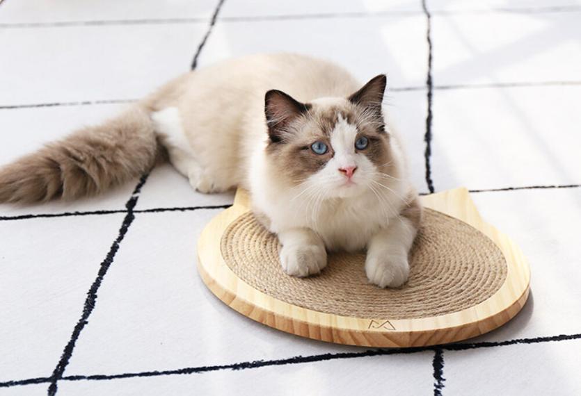 Letrungpet - Bàn Cào Móng Mèo (Gỗ)