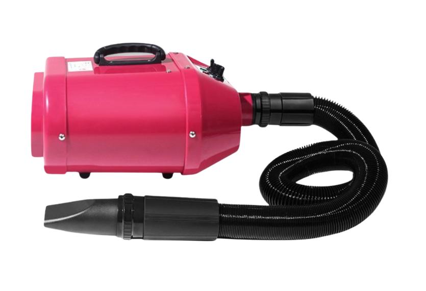 Chunzhou - Máy Sấy Lông 2 Motor Chó & Mèo (A22)
