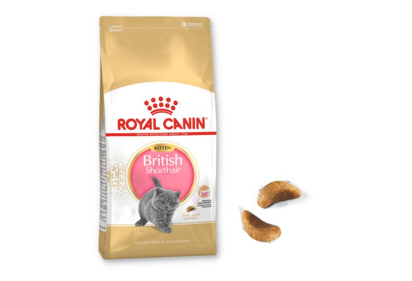 Royal Canin British Shorthair - Hạt Mèo Anh Lông Ngắn Con