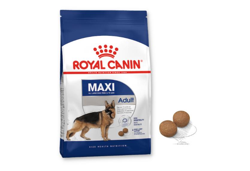Royal Canin Maxi - Hạt Chó Lớn Size To