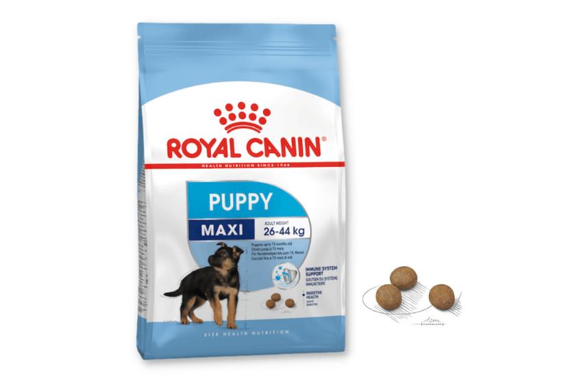 Royal Canin Maxi - Hạt Chó Con Size To
