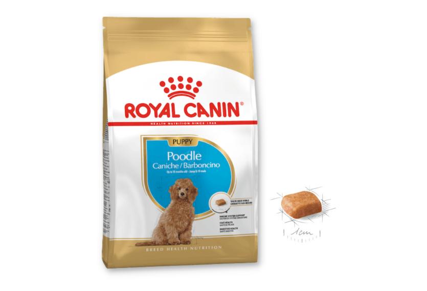 Royal Canin Poodle - Hạt Chó Poodle Con