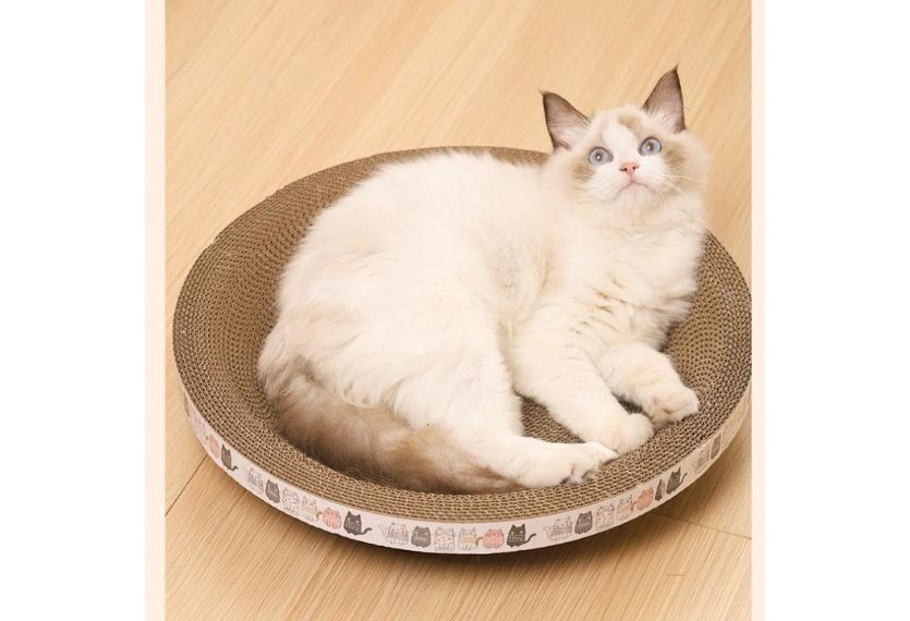 Letrungpet - Bàn Cào Móng Mèo Bằng Giấy (Hình Tròn)