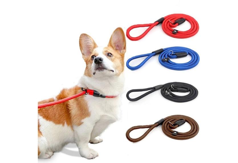 Letrungpet - Dây Dắt Dù 