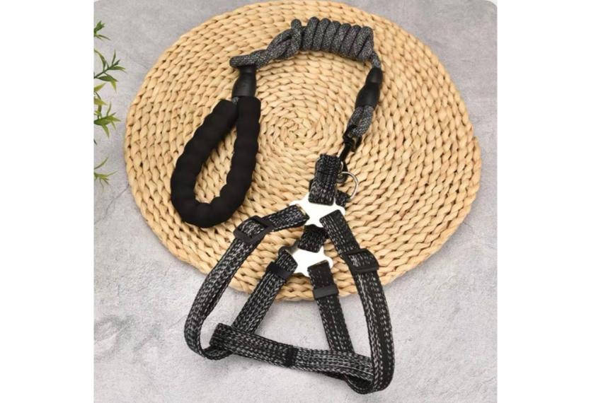 Letrungpet - Dây Yếm Chó Mèo (Phản Quang)