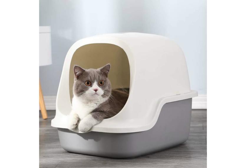 Letrungpet - Nhà Cát Cho Mèo (1 Cửa)