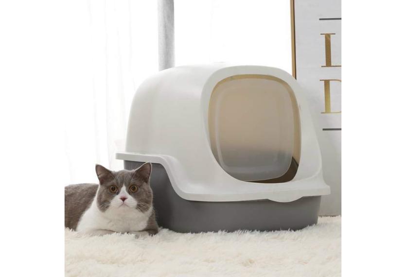 Letrungpet - Nhà Cát Cho Mèo (1 Cửa)