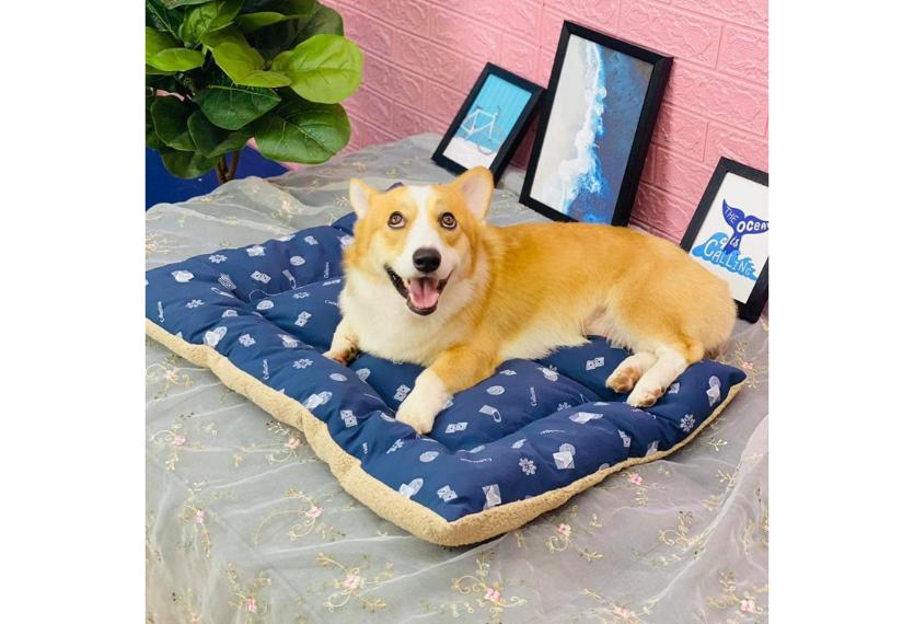 Letrungpet - Nệm Chữ Nhật (2 Mặt)