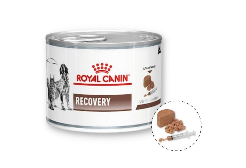 Royal Canin Recovery - Pate Cho Chó & Mèo 195g