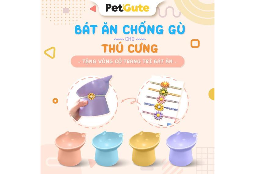 Pet Gute - Bát Ăn Đơn Chó Mèo (Chống Gù)