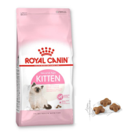 Royal Canin Kitten - Hạt Mèo Con
