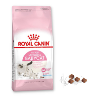 Royal Canin Mother & Babycat - Hạt Mèo Mẹ & Con