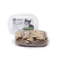 Letrungpet - Sét Cỏ Mèo Tự Trồng
