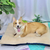 Letrungpet - Nệm Chữ Nhật (2 Mặt)