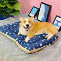 Letrungpet - Nệm Chữ Nhật (2 Mặt)