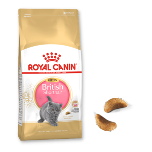 Royal Canin British Shorthair - Hạt Mèo Anh Lông Ngắn Con