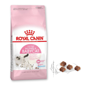 Royal Canin Mother & Babycat - Hạt Mèo Mẹ & Con