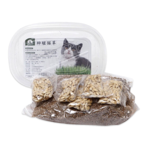 Letrungpet - Sét Cỏ Mèo Tự Trồng
