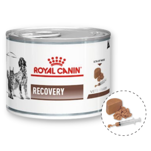 Royal Canin Recovery - Pate Cho Chó & Mèo 195g