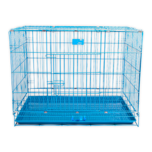 Letrungpet - Chuồng Chó Sơn Tĩnh Điện (Xanh)