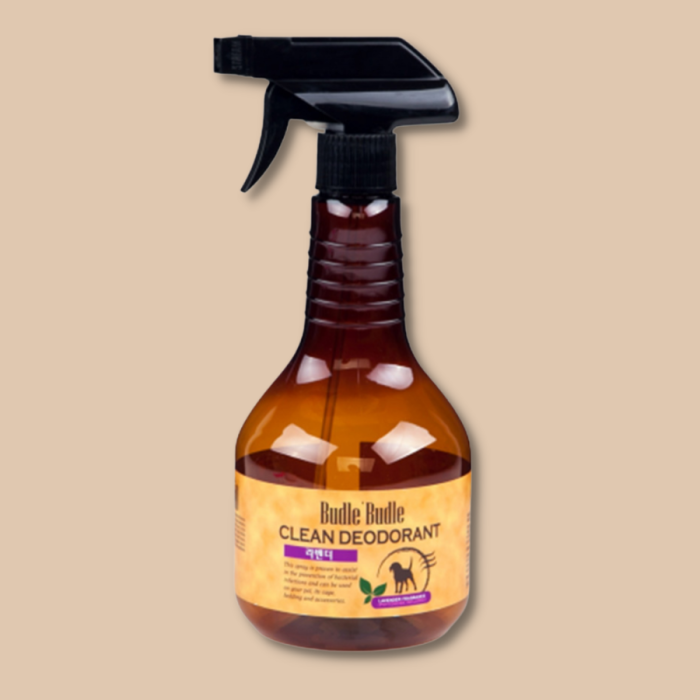 Hương Hoa Oải Hương
